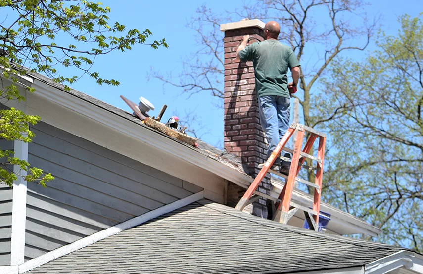 Chimney & Fireplace Inspections Services in Salem, VA
